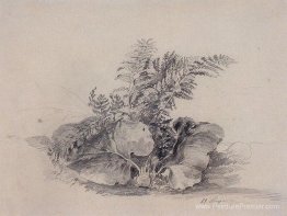 Feuilles de fougère et bardane Feuilles de fougère et bardane