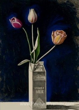 Tulipes dans un carton de lait Tulipes dans un carton de lait