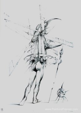 don Quichotte don Quichotte