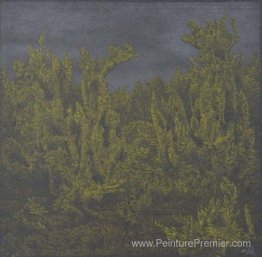 Farnlandschaft Farnlandschaft