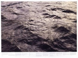 Sans titre (de la série Still Water (la Tamise de la rivière, pa Sans titre (de la série Still Water (la Tamise de la rivière, pa