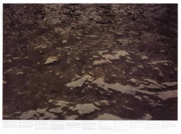 Sans titre (de la série Still Water (la Tamise de la rivière, pa Sans titre (de la série Still Water (la Tamise de la rivière, pa