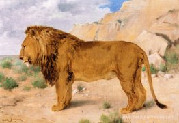 Étude d'un lion Étude d'un lion