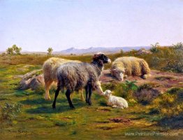 Mouton et un agneau Mouton et un agneau