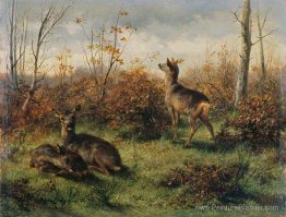 Cerf d'offres Cerf d'offres