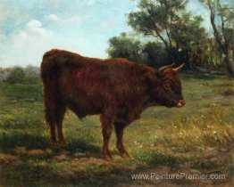 Bull Longhorn dans un paysage Bull Longhorn dans un paysage