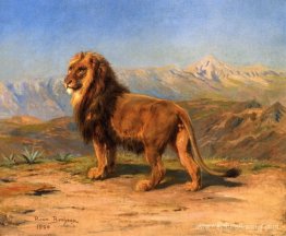 Lion dans un paysage montagneux Lion dans un paysage montagneux