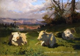 Vaches reposant Vaches reposant