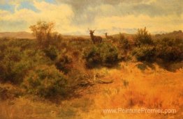 Cerf et biche dans un paysage Cerf et biche dans un paysage