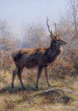 Le cerf Le cerf