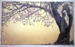 Fleurs de cerisier Fleurs de cerisier