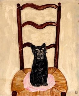 Chat sur une chaise Chat sur une chaise