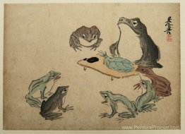 Grenouilles Grenouilles