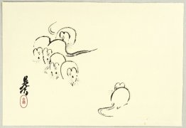 Rats blancs Rats blancs