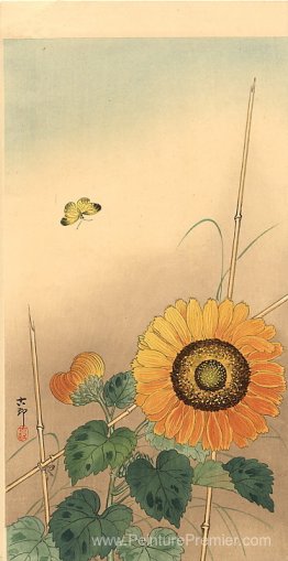 Petit papillon et tournesol Petit papillon et tournesol