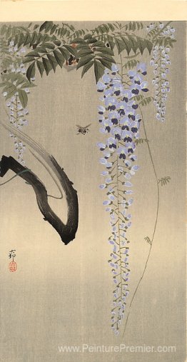 Wisteria et abeille Wisteria et abeille