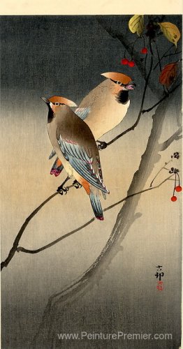 Jays sur des baies Jays sur des baies