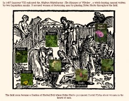 Le jardin du mythe brutal Le jardin du mythe brutal