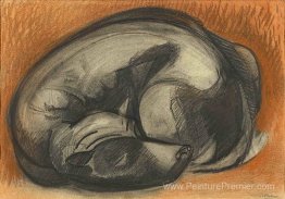 Un chien dormant Un chien dormant