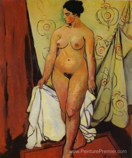 Femme nue avec draperie Femme nue avec draperie