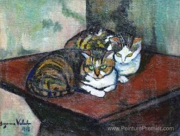 Deux chats Deux chats