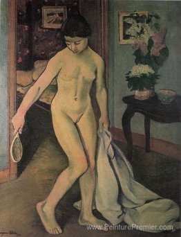 Nu au miroir Nu au miroir