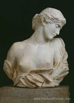 Daphné Daphné