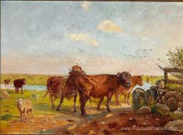 Bétail sur Saltholm Bétail sur Saltholm