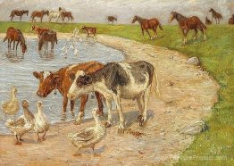 Le grand réservoir, Saltholm Le grand réservoir, Saltholm