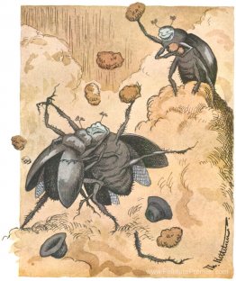 Slagsmaal mellem à skarnbasser Slagsmaal mellem à skarnbasser