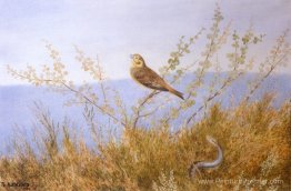 Ormen Risler sous le mensonge Ormen Risler sous le mensonge