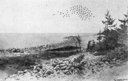 Jomfruland Jomfruland