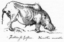 Jordkloden Jordkloden