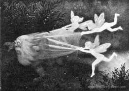 Lysalver Fanger Skyggetssen Lysalver Fanger Skyggetssen