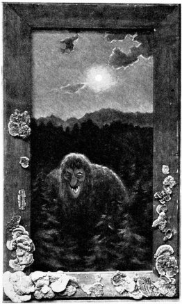 Hustrollet Vaart Hustrollet Vaart