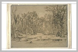 La forêt en hiver La forêt en hiver