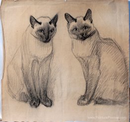 Deux chats siamois Deux chats siamois