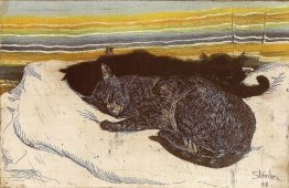 Deux chats Deux chats