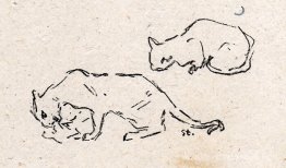 Chats ludiques Chats ludiques