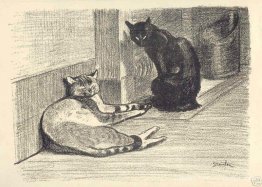 Deux chats Deux chats