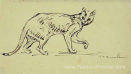 Chat marchant Chat marchant