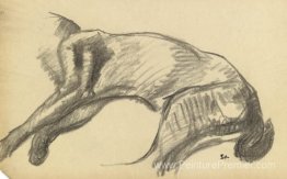 Étude du corps d'un chat qui s'étend Étude du corps d'un chat qui s'étend