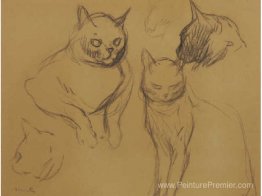 Croquis de chat Croquis de chat