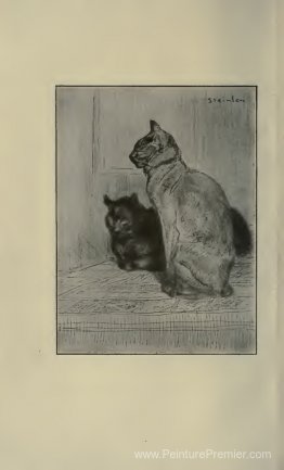 Deux chats Deux chats