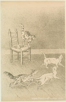 Race des chats Race des chats