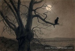 Chat au clair de lune Chat au clair de lune