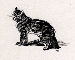Chat souriant Chat souriant