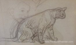 Croquis de chat Croquis de chat