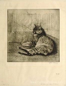 Chat dormant dans un coin Chat dormant dans un coin