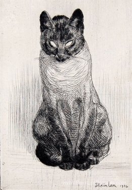 Chat siamois assis Chat siamois assis